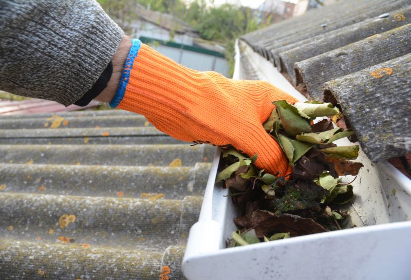 Gutter Cleaning in Richmond, VA