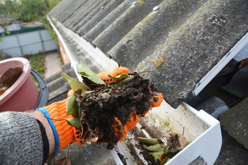 Gutter Leaf Clearing in Boulder, CO