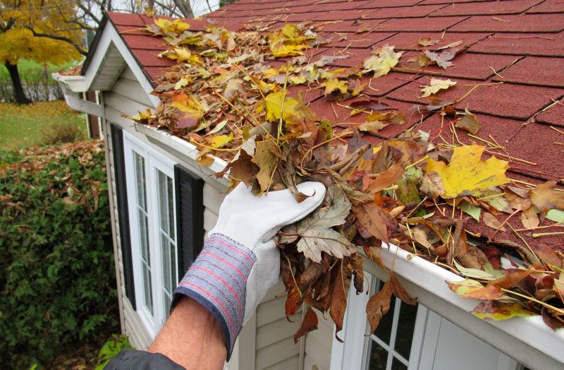 Gutter Leaves Removal in Bergen County, NJ