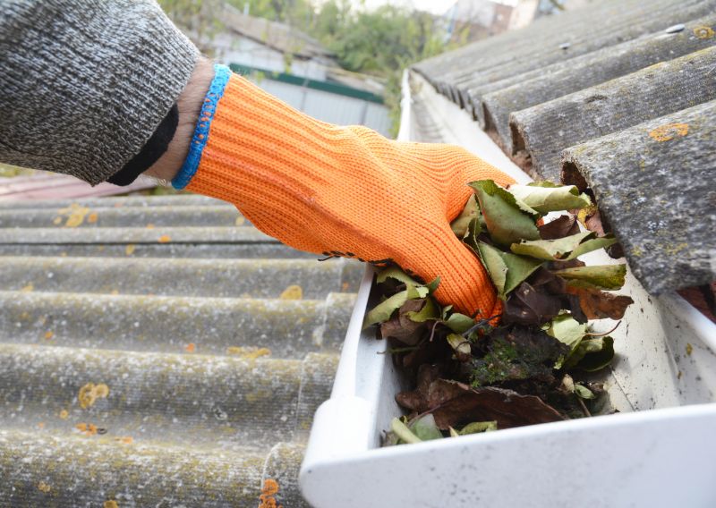 Gutter Maintenance in Arvada, CO