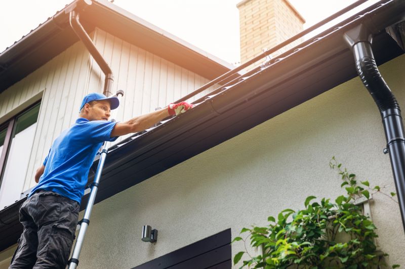 Roof Gutter Cleaning in Richmond, VA