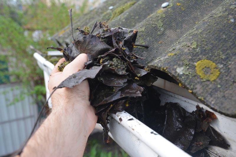 Roof Gutter Cleaning in Fredericksburg, VA
