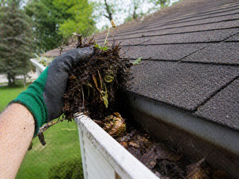 Gutter Leaves Removal in Longmont, CO