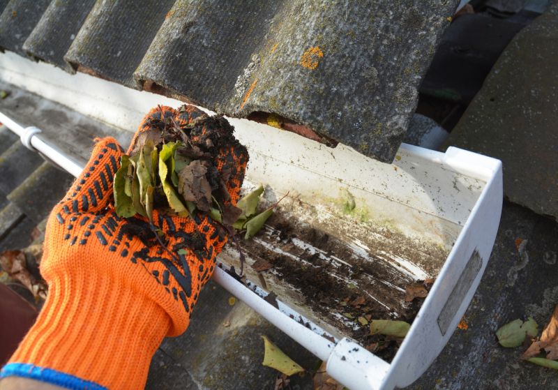 Roof Gutter Cleaning in Bergen County, NJ